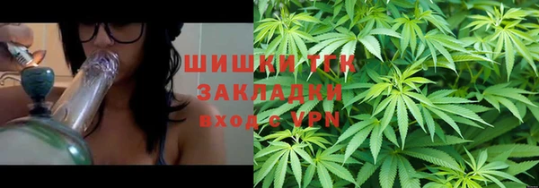 Альфа ПВП Нея