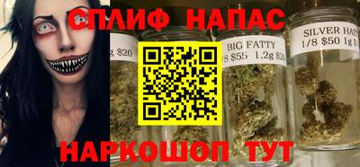 стаф Можга