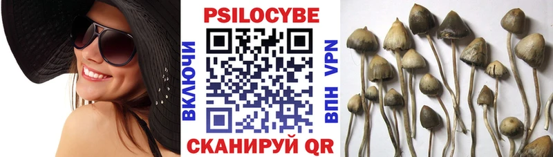 наркотики  Якутск  hydra онион  Псилоцибиновые грибы MAGIC MUSHROOMS 