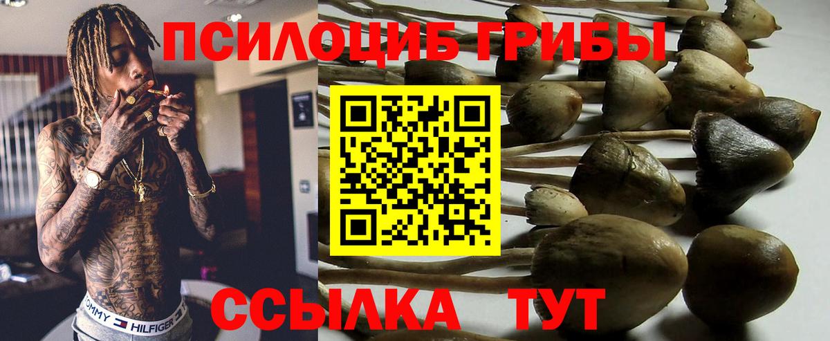 Псилоцибиновые грибы Psilocybe  Вход с VPN  Галлюциногенные грибы GOLDEN TEACHER  Якутск 